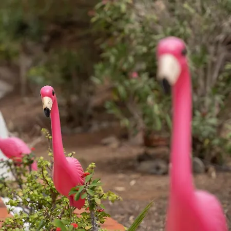 Apartamento Apto Jardin Del Sol