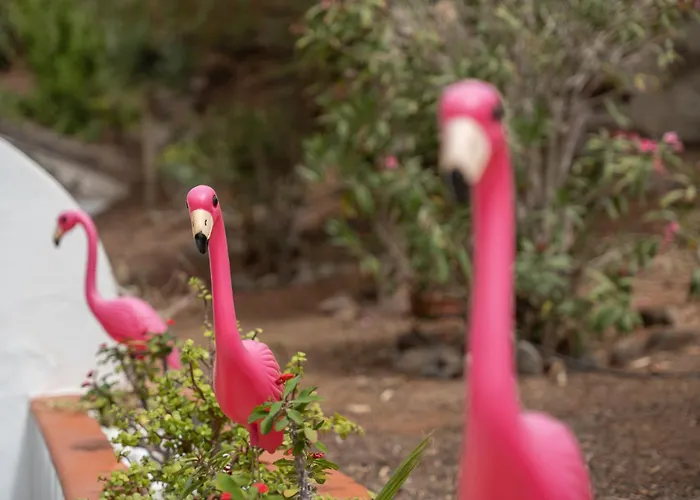 Lägenhet Apto Jardin Del Sol